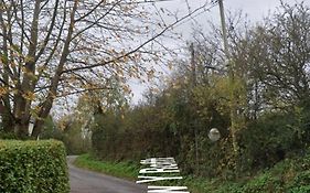 Glyncoch Aberporth